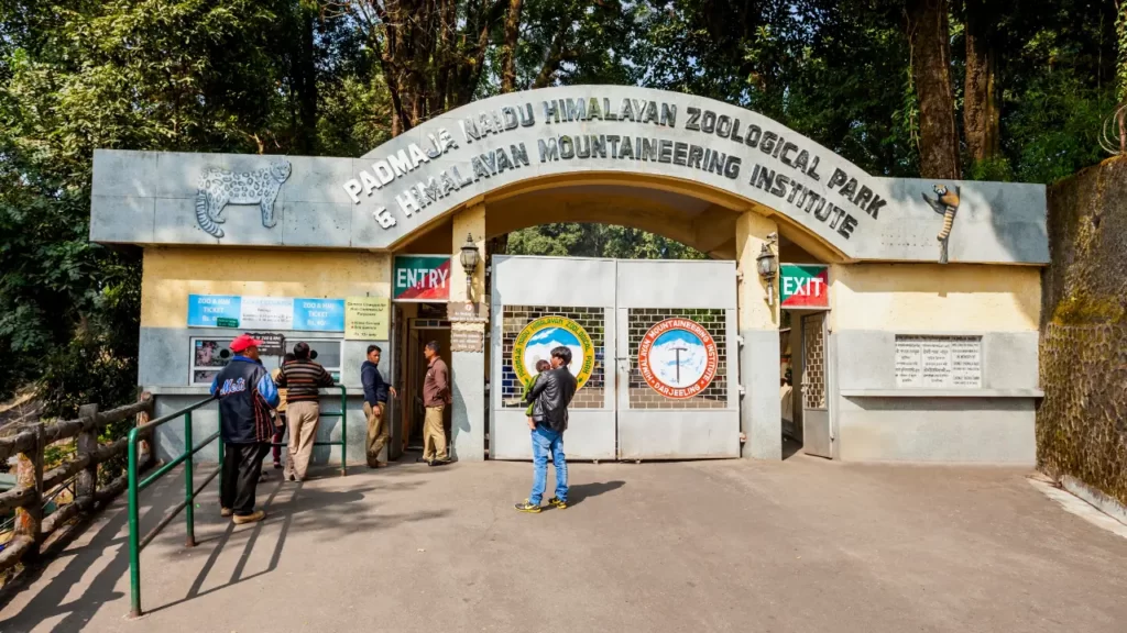 Himalayan Mountaineering Institute and Darjeeling Zoo 